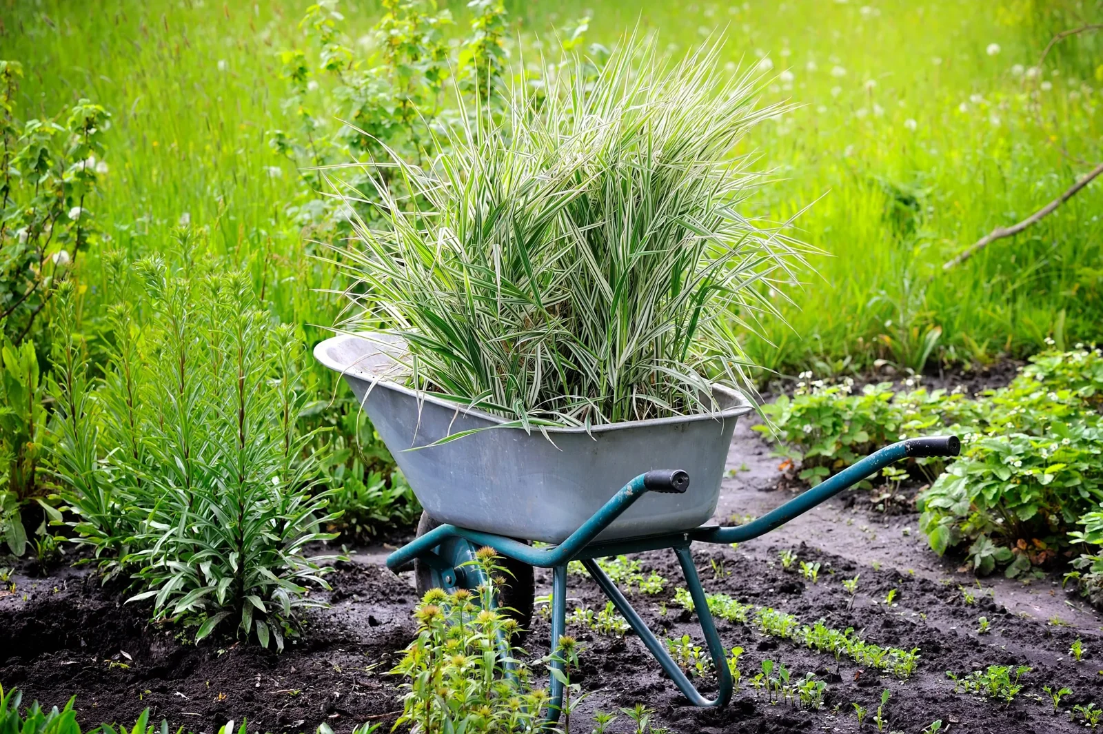 Tuinarchitect De Bilt