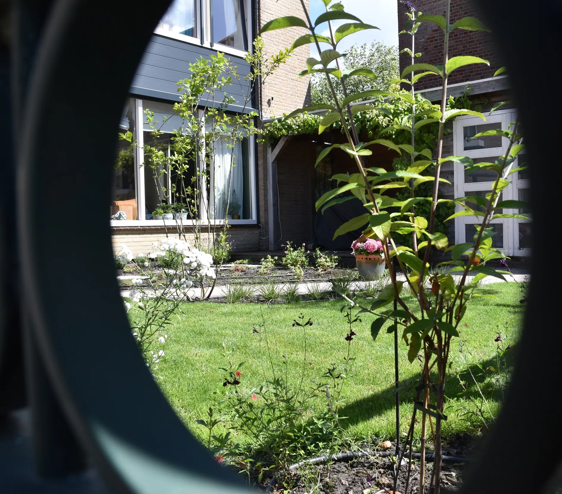 Doorkijk door een ronde opening naar het gazon en een jonge boom in de tuin in Naaldwijk