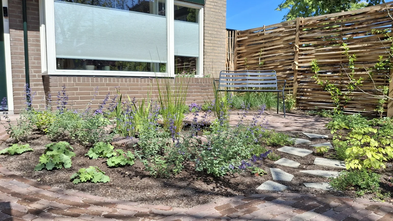 Bloeiende borders in een ecologische tuin in De Bilt in het voorjaar