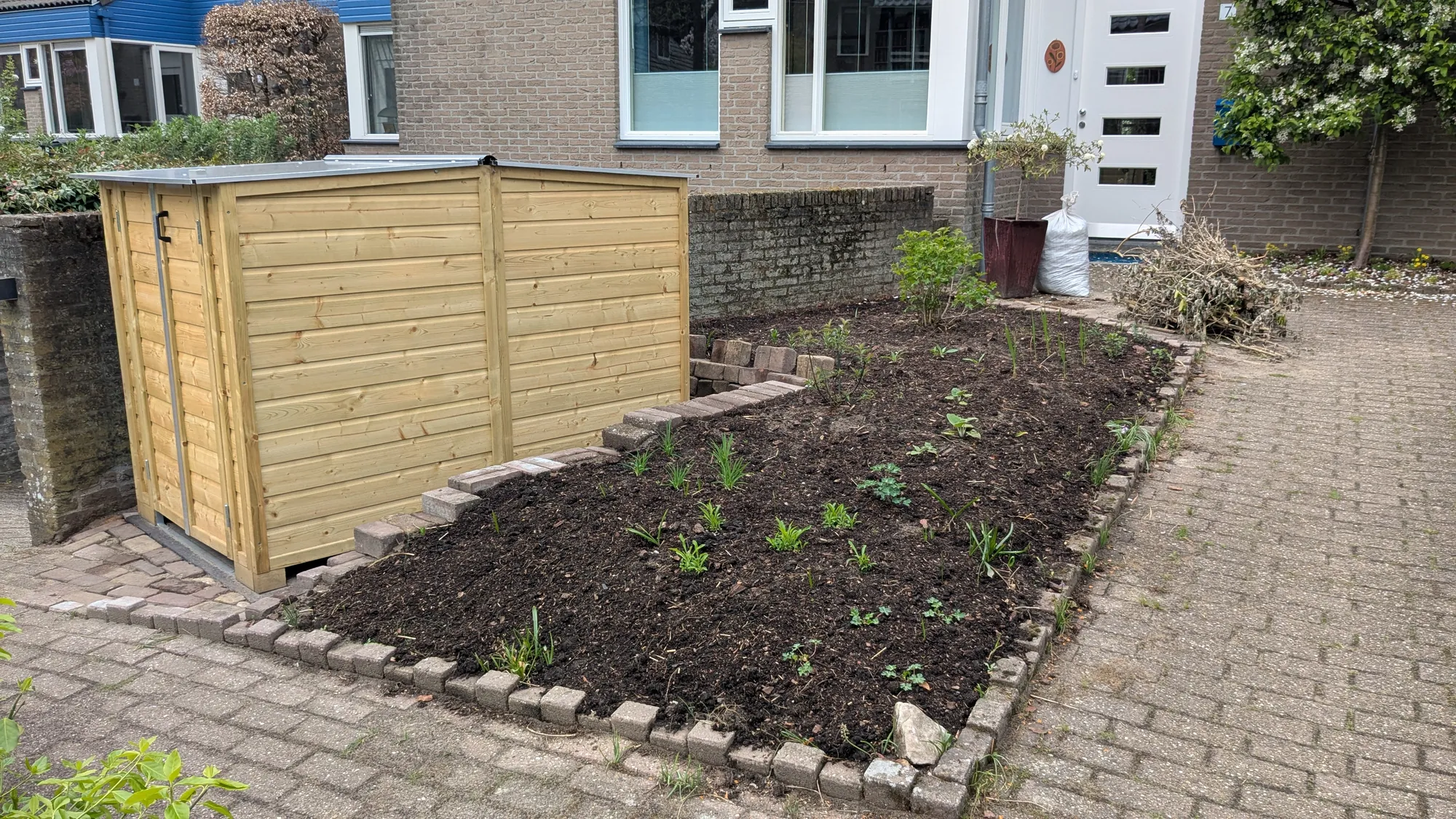 Pas aangeplante border voor de houten fietsenberging in een voortuin in Bilthoven
