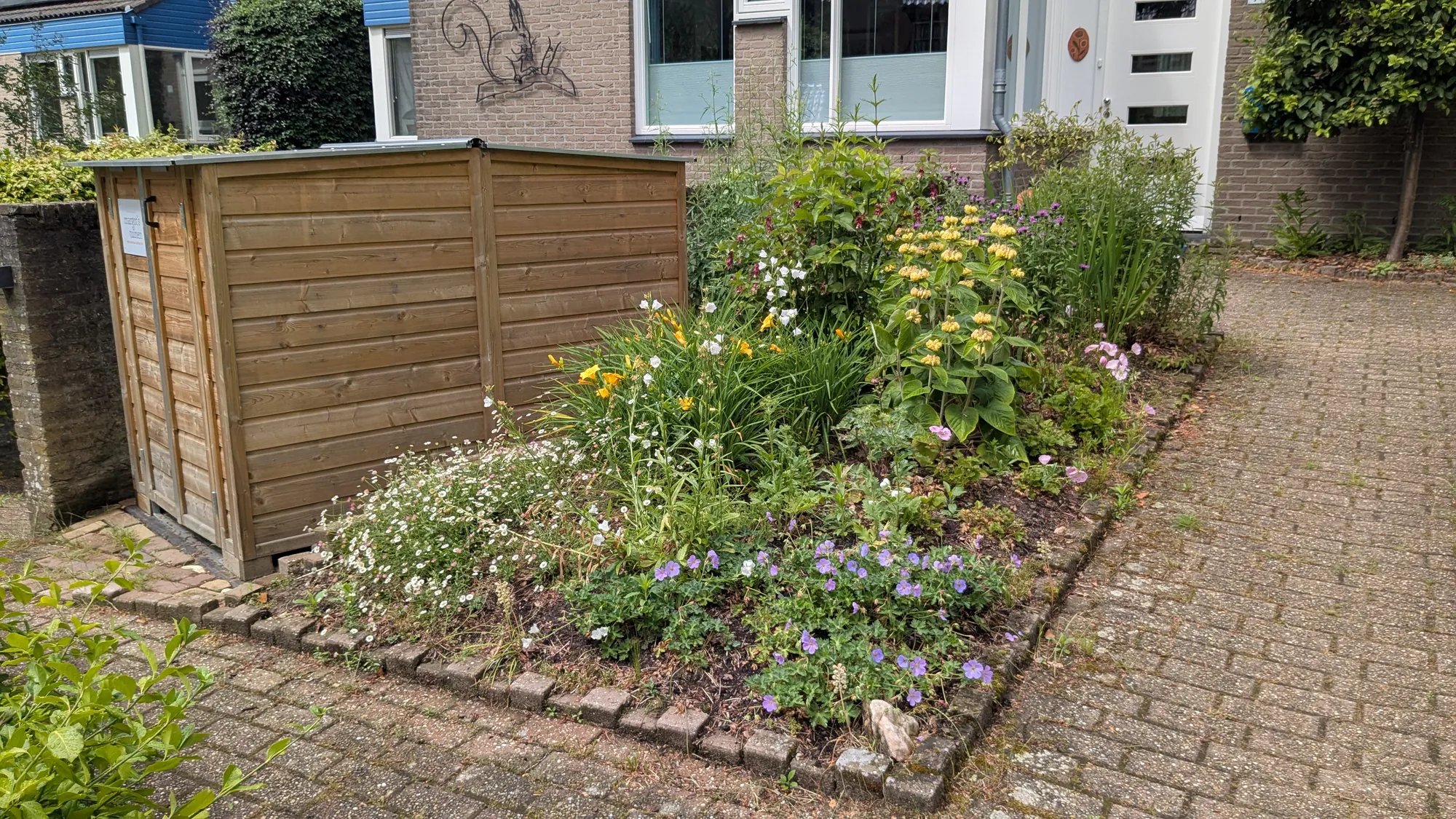 Bloeiende border naast de houten fietsenberging in een voortuin in Bilthoven