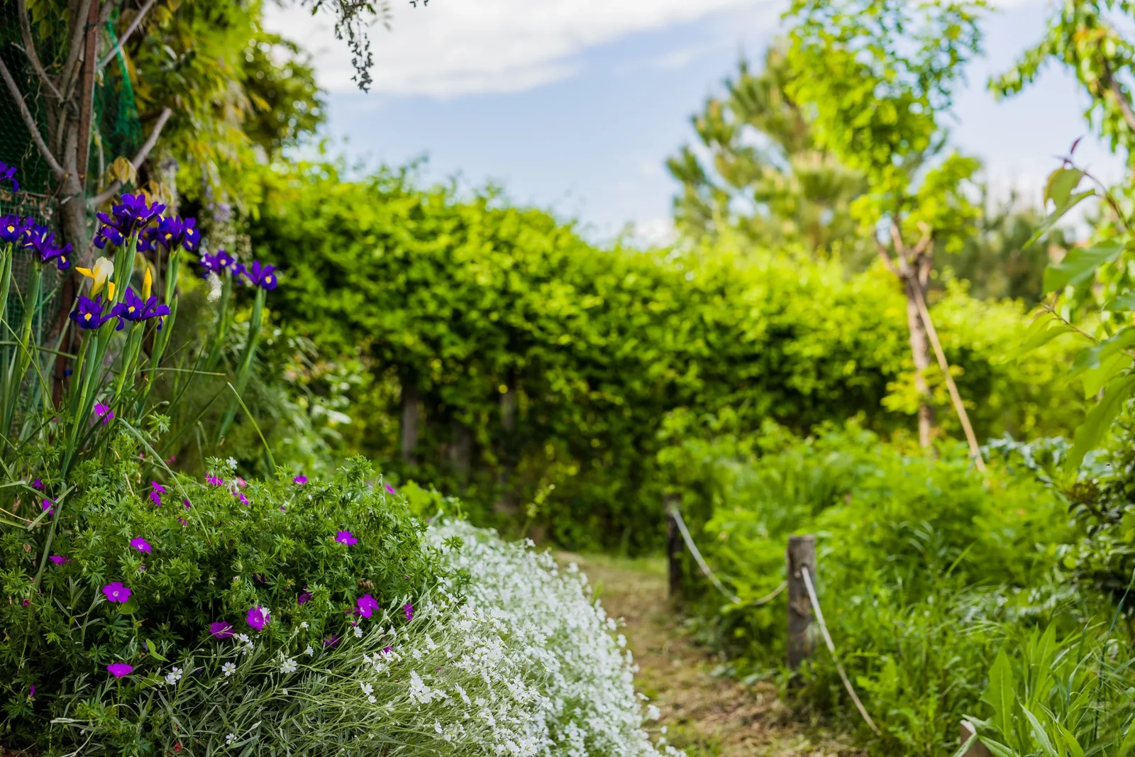 Tuinarchitect De Bilt
