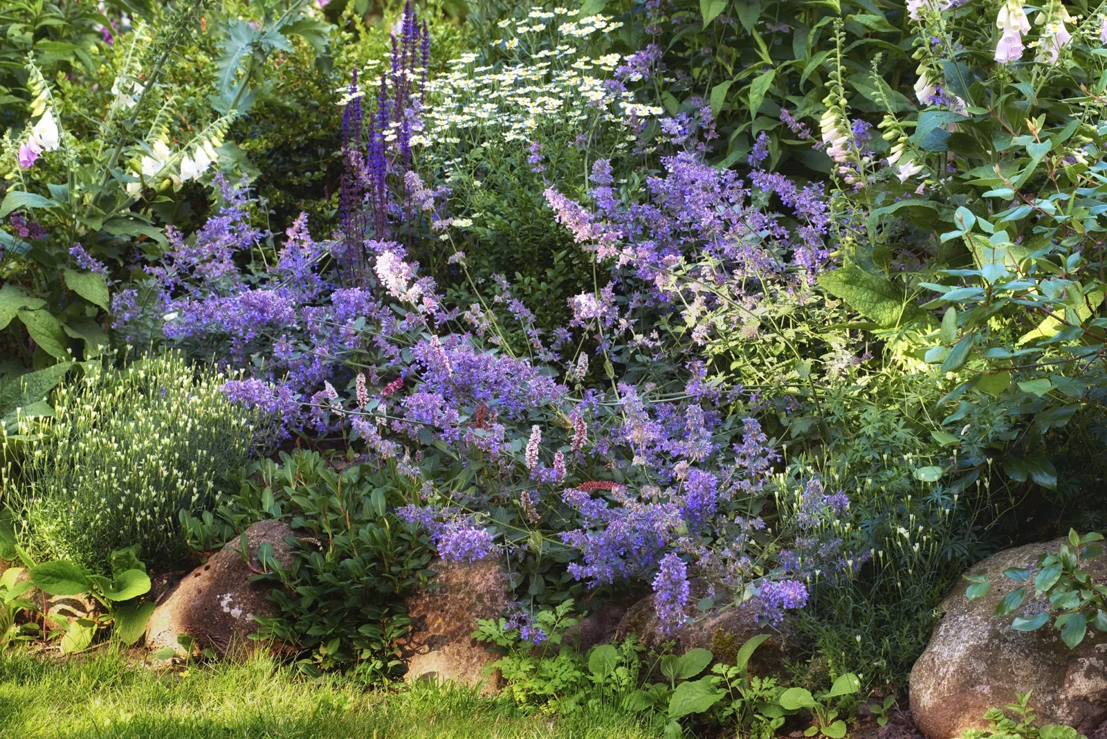 Tuinarchitect De Bilt