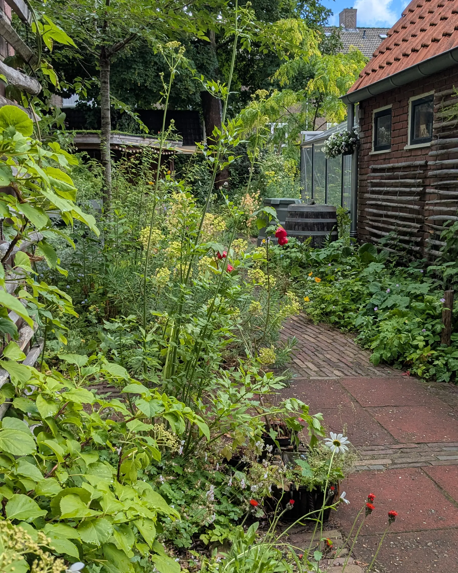 Tuinpad tussen weelderige borders in een tuin in De Bilt