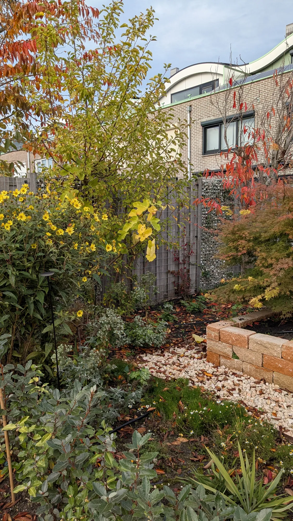 Herfstkleuren in de borders van een mediterrane tuin in Hoofddorp