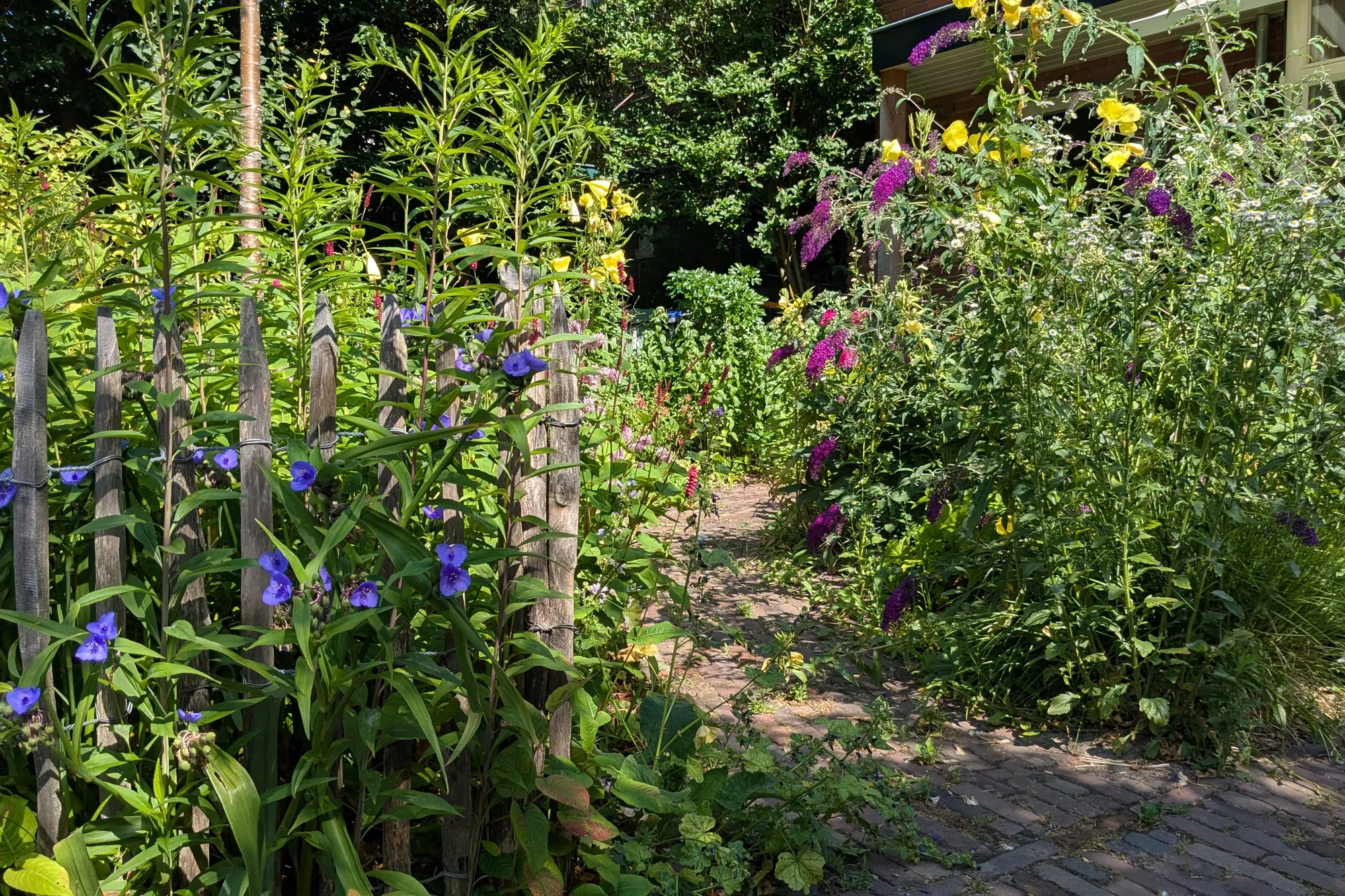 Bloemrijke border langs een kastanjehouten hekje in De Bilt