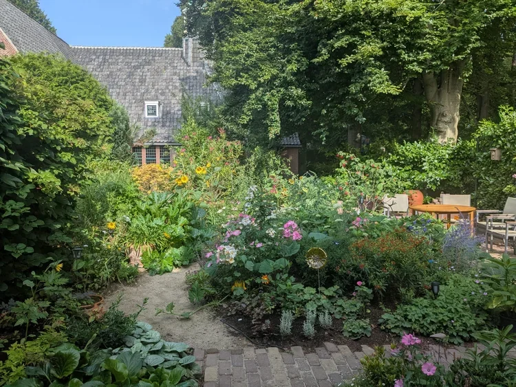 Van bestrating naar groene tuin