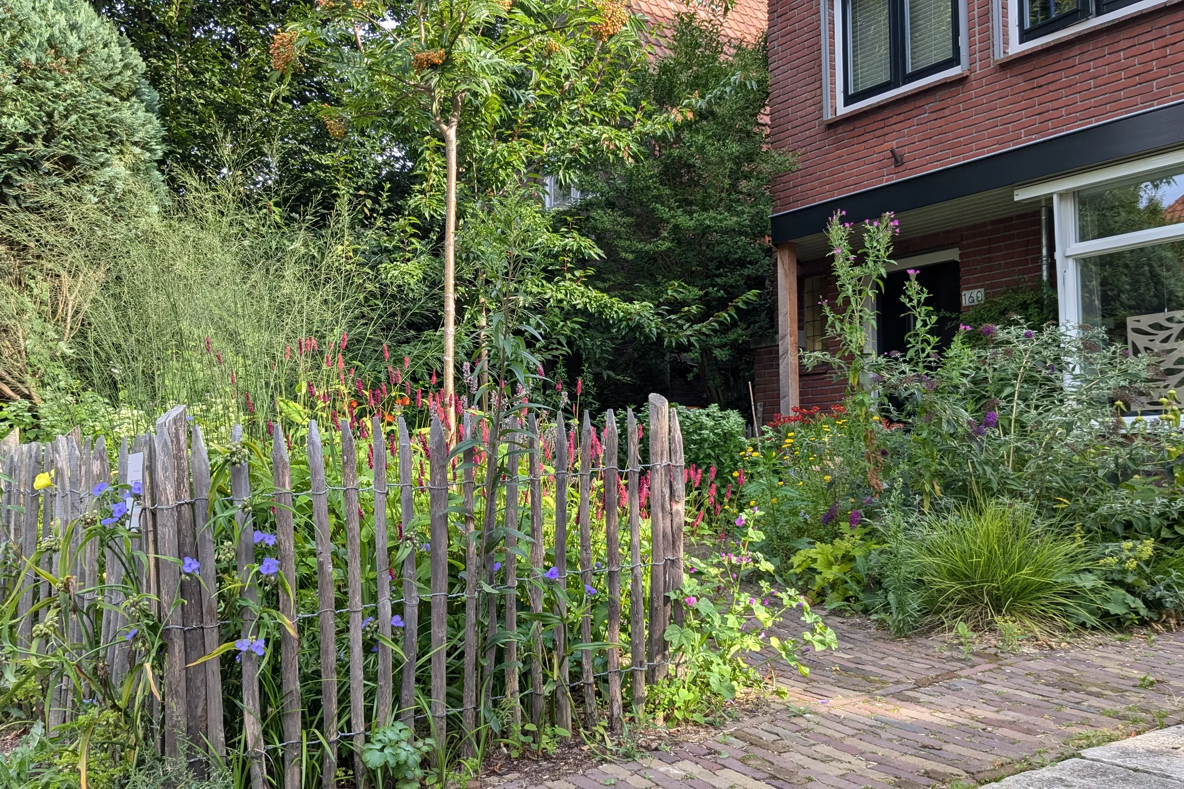 Kastanjehouten hekje en bloeiende border bij een huis in De Bilt