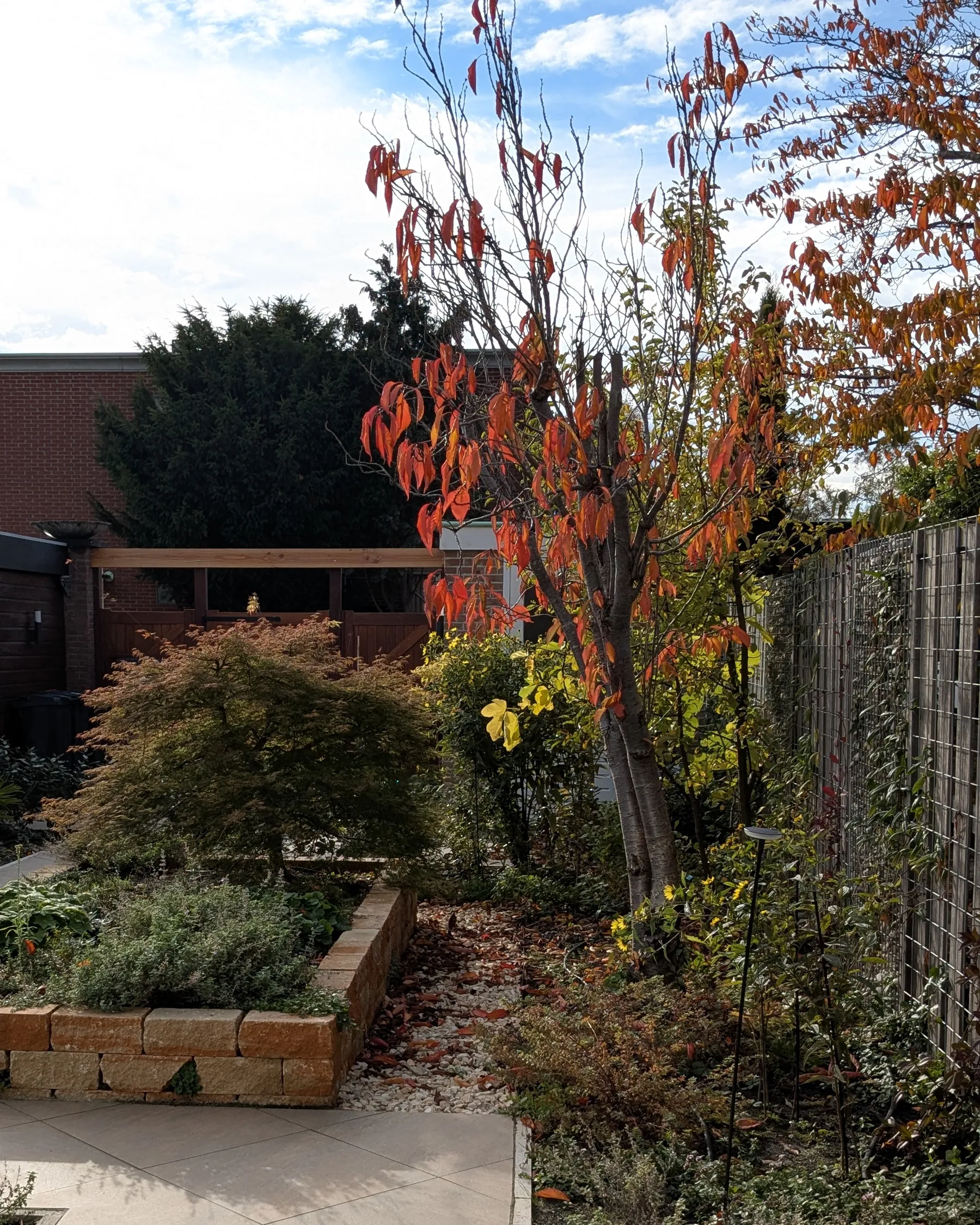 Tuin in Hoofddorp met een verhoogde border in herfstkleuren na een tuinontwerp van Margot's Tuinen