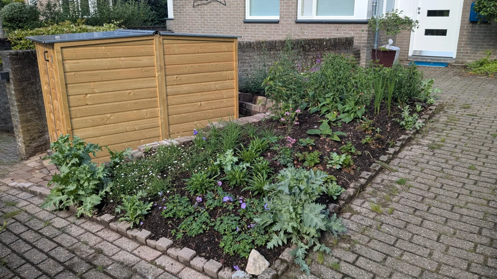 Jonge border met vaste planten naast de houten fietsenberging in Bilthoven