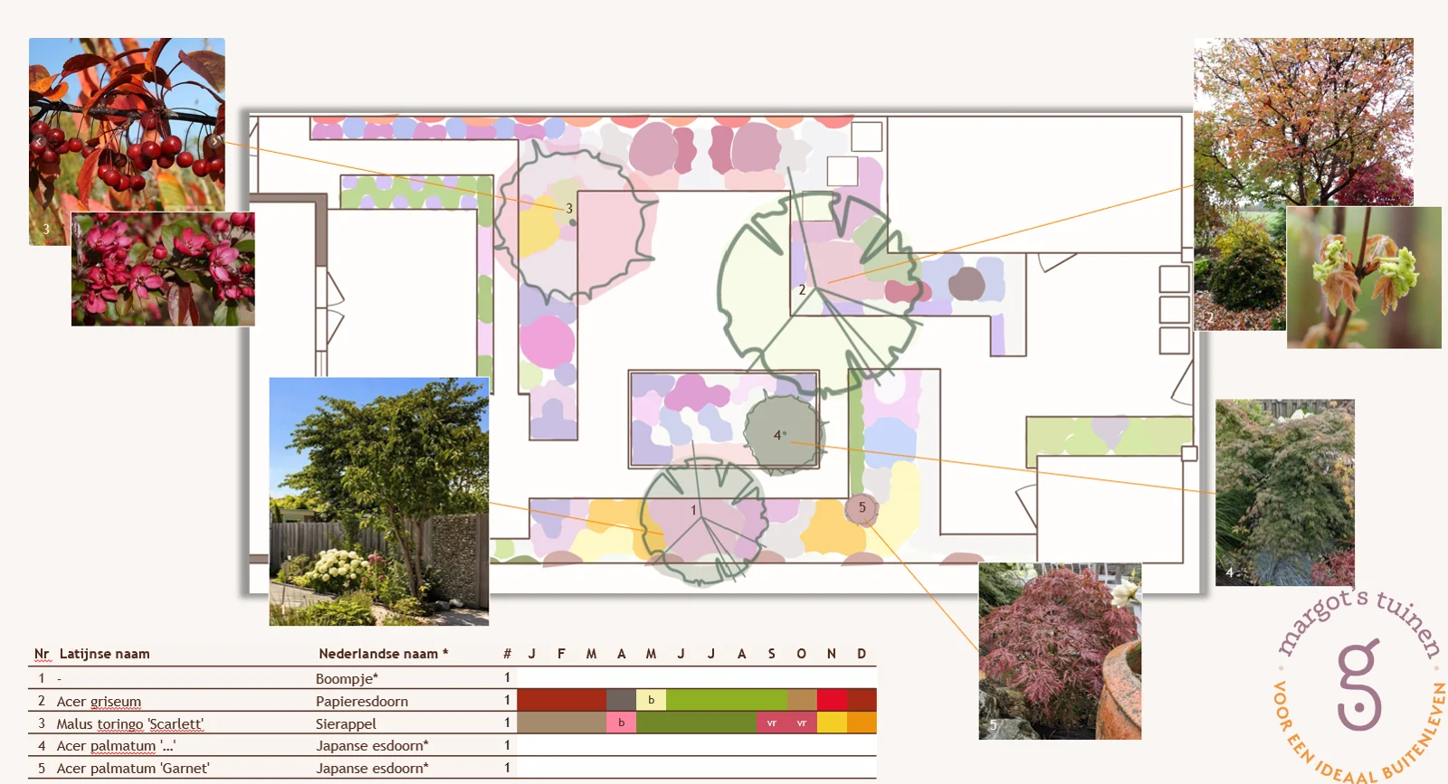 Beplantingsplan met plantfoto's voor een mediterrane tuin in Hoofddorp