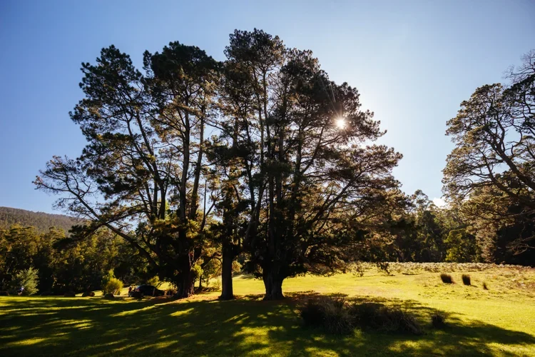 Natuurrijke eenvoud
