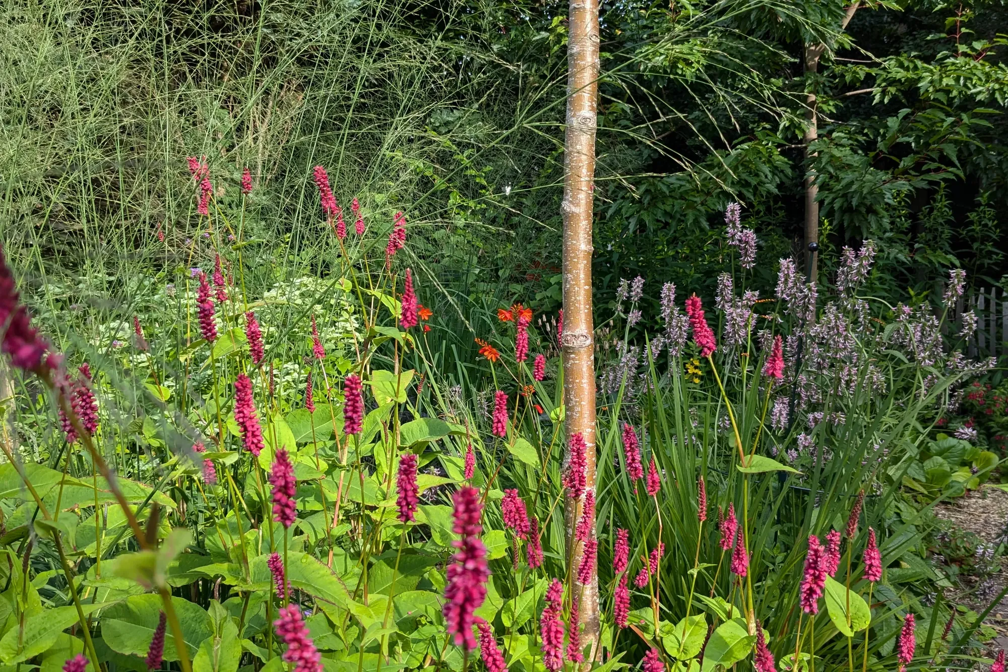 Natuurrijke eenvoud